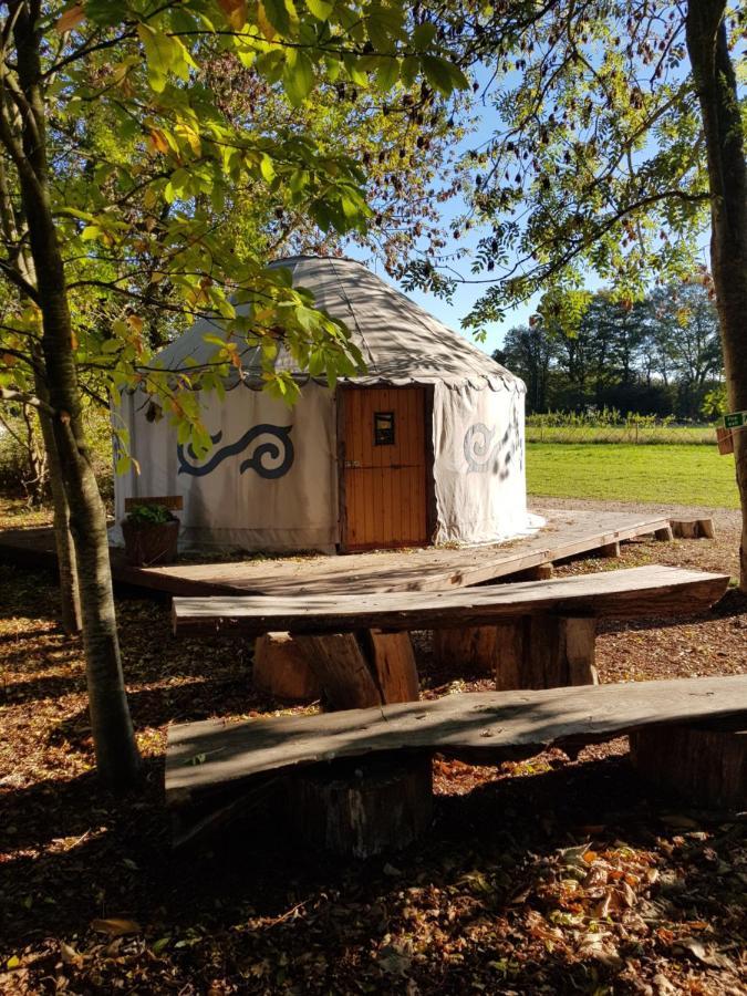 Plush Tents Yurt Village Chichester Eksteriør bilde