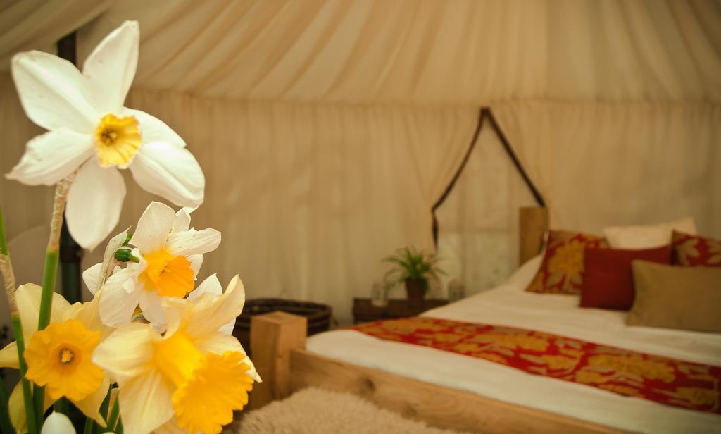 Plush Tents Yurt Village Chichester Rom bilde