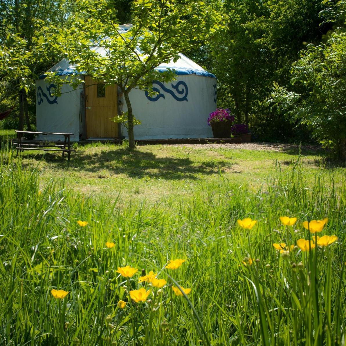 Plush Tents Yurt Village Chichester Eksteriør bilde